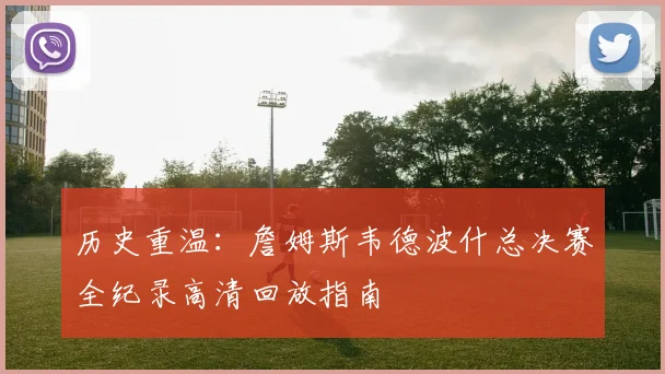 历史重温：詹姆斯韦德波什总决赛全纪录高清回放指南