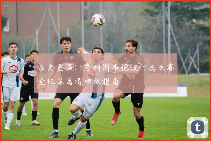 历史重温：詹姆斯韦德波什总决赛全纪录高清回放指南