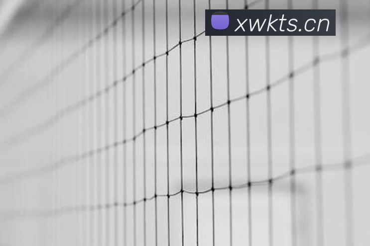 多媒体互动体验